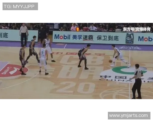 少年追梦篮球场上拼搏奋斗成就明星之路