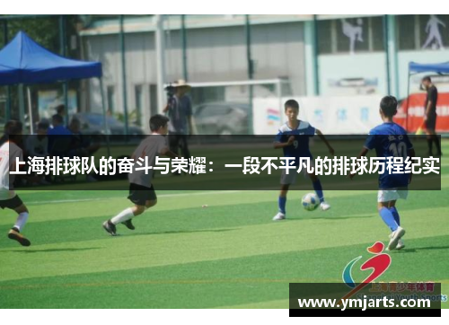 上海排球队的奋斗与荣耀：一段不平凡的排球历程纪实