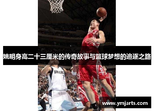 姚明身高二十三厘米的传奇故事与篮球梦想的追逐之路